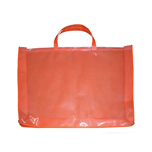 Pillow bag-32